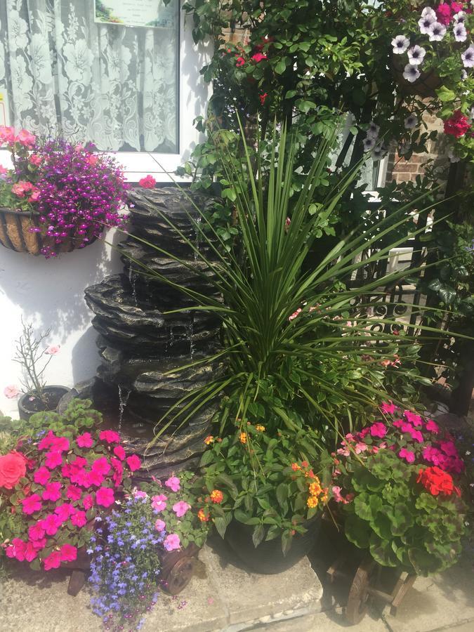 Bed and Breakfast Seashells New Quay Exterior foto